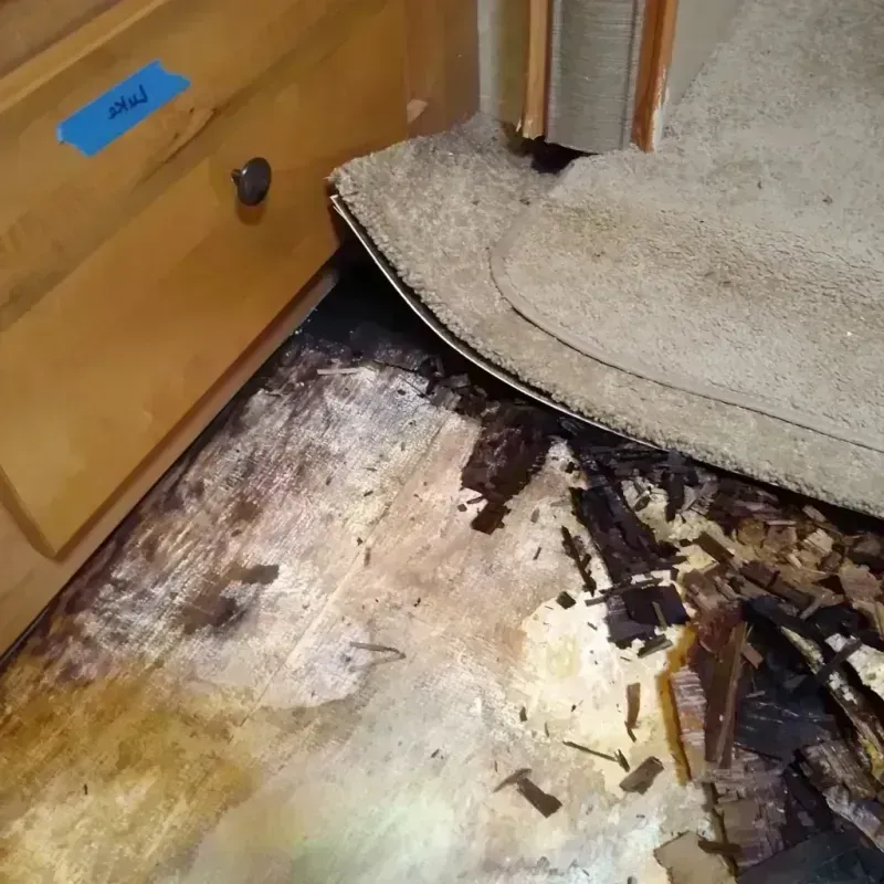 Best Wood Floor Water Damage Service in Chenoa, IL